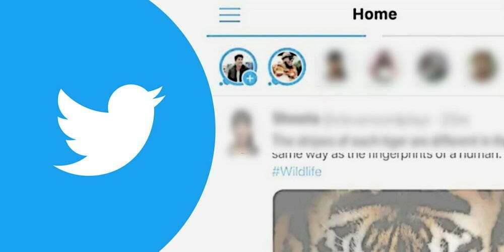 Twitter Fleets Service India
