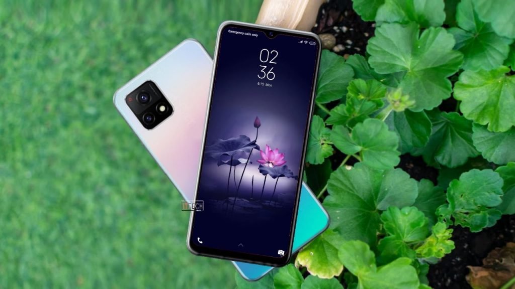 Vivo Y31s Standard Edition