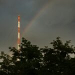 a rainbow over trees