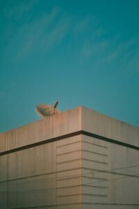 a bird is sitting on top of a building
